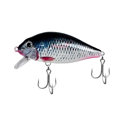 Baoite Minnow ar Snámh